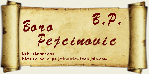 Boro Pejčinović vizit kartica